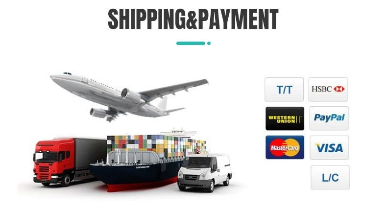 product-790-429 shipment and payment