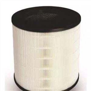 HEPA FILTER gaisa attīrītāja filtra putekļi Noņemiet