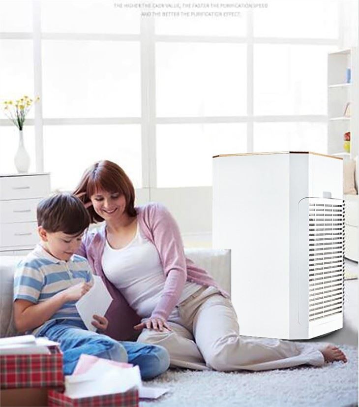 BKJ-80B Excellent Design Functionally Home Anion Air Purifier